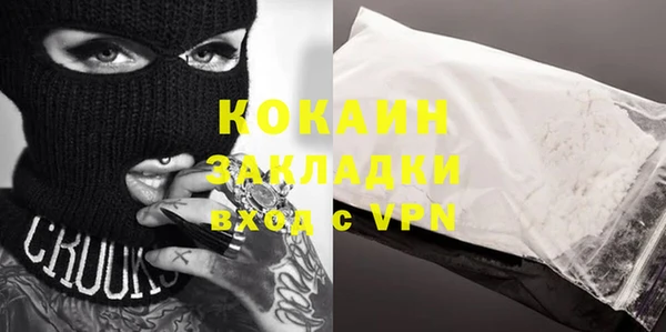 шишки Аркадак