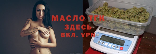 шишки Аркадак