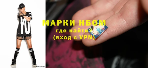 шишки Аркадак