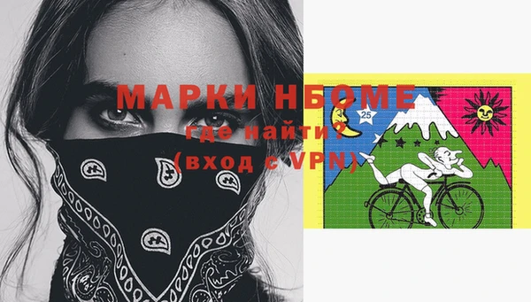 шишки Аркадак