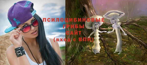 дживик Армянск