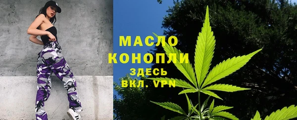 шишки Аркадак