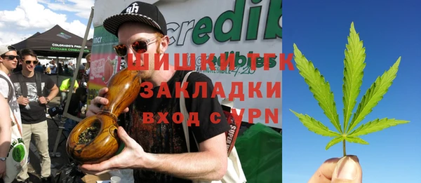 шишки Аркадак