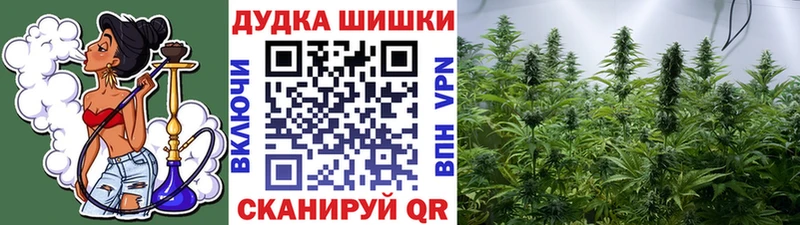 Бошки марихуана Amnesia  Ступино 